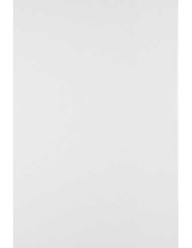 Bastelpapier Weiß DIN B1+ (720 x 1020 mm) 100 g/m² Lessebo Smooth White