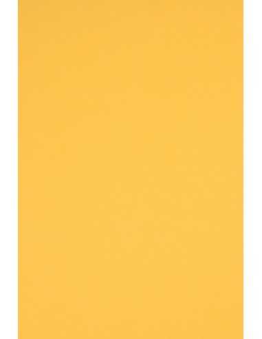 Bastelpapier Dunkelgelb DIN C1 (920 x 650 mm) 160 g/m² Rainbow Farbe R18