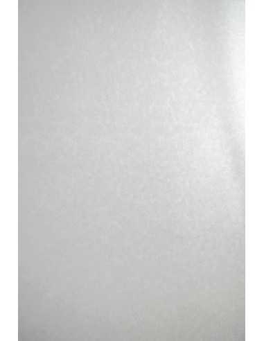 Bastelkarton Perlmutt-Weiß mit Kreismuster DIN B1 (700 x 1000 mm) 250 g/m² Aster Metallic White Sequins R100