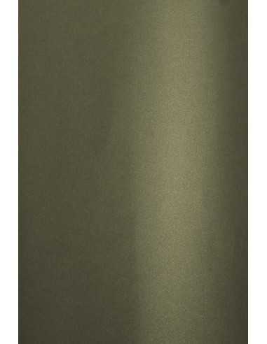 Bastelkarton Perlmutt-Dunkelgrau mit Gold DIN B1 (700 x 1000 mm) 280 g/m² Aster Metallic Grey Gold R100