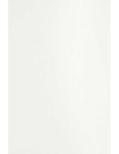 Bastelpapier Weiß DIN B1 (700 x 1000 mm) 100 g/m² Curious Translucents Pearl White