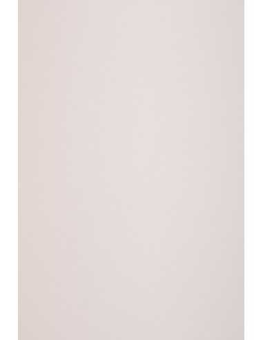 Ökologisches Bastelpapier Pastelpink DIN B1 (700 x 1000 mm) 120 g/m² Keaykolour Pastel Pink