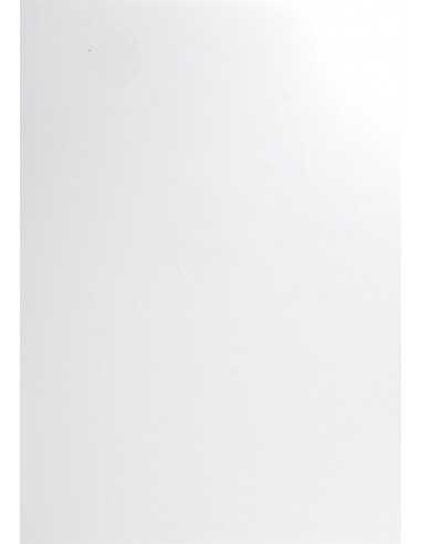 Bastelpapier Weiß DIN B1 (700 x 1000 mm) 135 g/m² Curious Skin Extra White