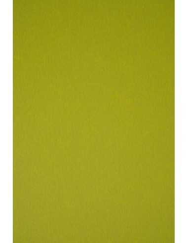 Ökologischer Bastelkarton Grün DIN B1 (700 x 1000 mm) 300 g/m² Keaykolour Kiwi