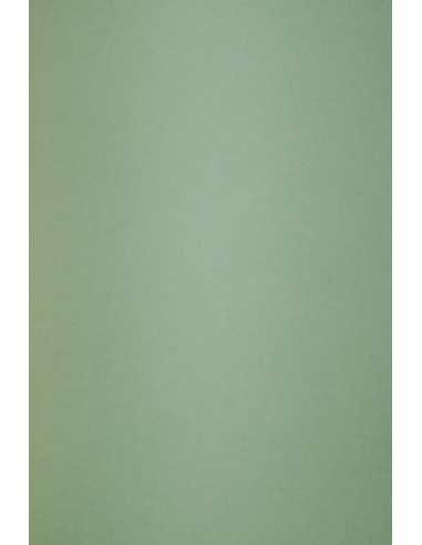 Ökologischer Bastelkarton Grün DIN B1 (700 x 1000 mm) 300 g/m² Keaykolour Matcha Tea