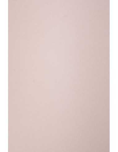 Ökologisches Bastelkarton Rosa DIN B1 (700 x 1000 mm) 300g Old Rose