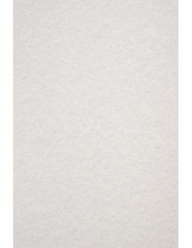 Marmorkarton Hellgrau DIN B1 (700 x 1000 mm) 180 g/m² Aster Laguna Grey