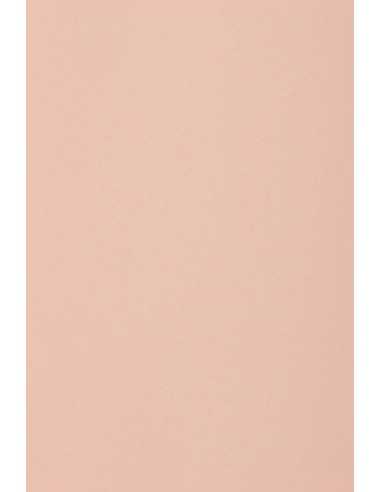 Bastelkarton Hellblau DIN B1 (700 x 1000 mm) 250 g/m² Burano Rosa