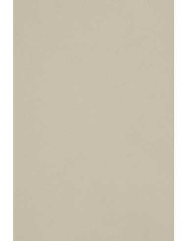 Bastelkarton Hellgrau DIN B1 (700 x 1000 mm) 250 g/m² Burano Grigio