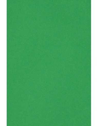 Bastelkarton Grün DIN B1 (700 x 1000 mm) 250 g/m² Burano Verde Bandiera