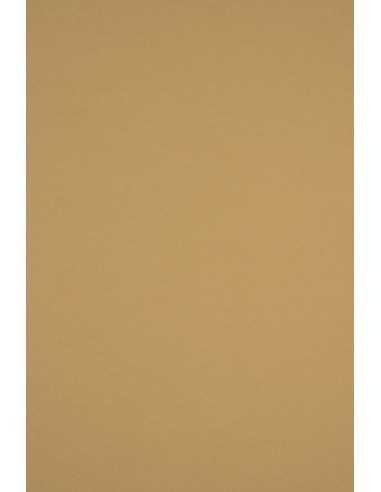 Bastelpapier Hellbraun DIN B1 (700 x 1000 mm) 115 g/m² Sirio Color Bruno