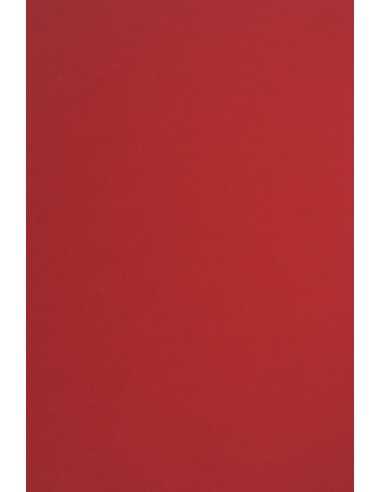 Bastelpapier Rot DIN B1 (700 x 1000 mm) 115 g/m² Sirio Color Lampone