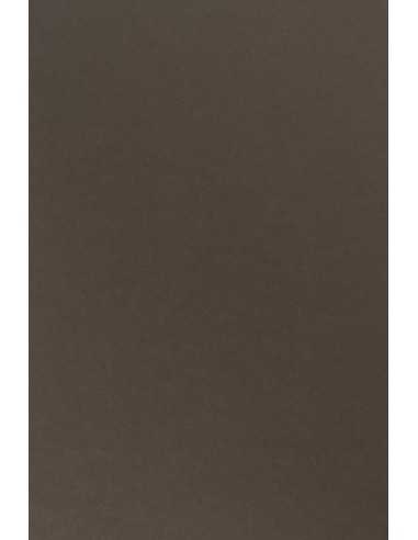 Bastelpapier Braun DIN B1 (700 x 1000 mm) 170 g/m² Sirio Color Caffe