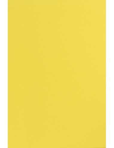 Bastelpapier Gelb DIN B1 (700 x 1000 mm) 170 g/m² Sirio Color Limone