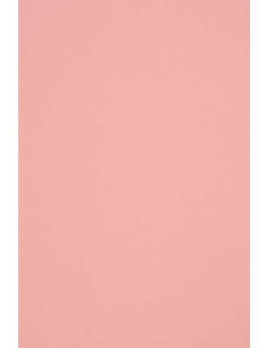 Ökologisches Bastelpapier Hellrosa DIN B1 (700 x 1000 mm) 170 g/m² Woodstock Rosa