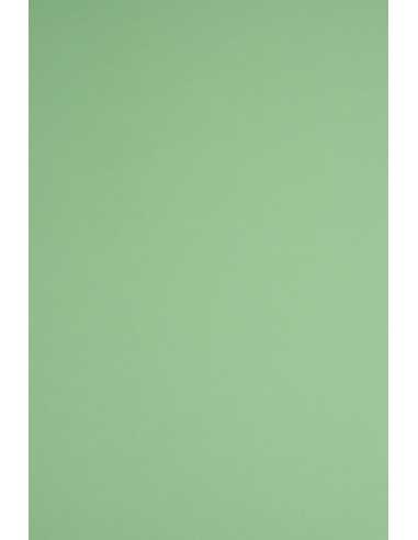 Ökologisches Bastelpapier Grün DIN B1 (700 x 1000 mm) 170 g/m² Woodstock Verde