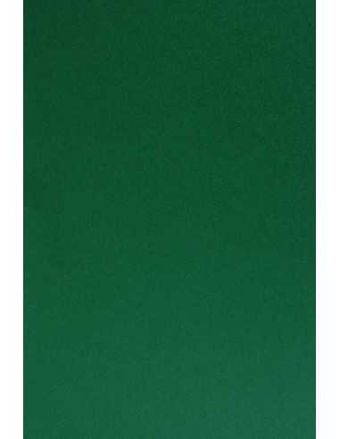 Bastelkarton Dunkelgrün DIN B1 (700 x 1000 mm) 210 g/m² Sirio Color Foglia