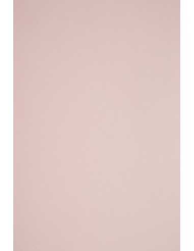 Bastelkarton Blassrosa DIN B1 (700 x 1000 mm) 210 g/m² Sirio Color Nude