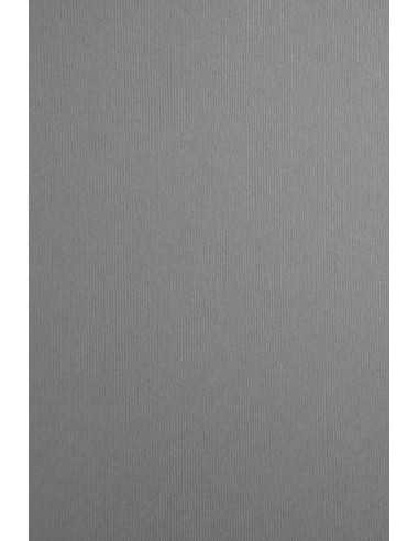 Strukturierter Bastelkarton Grau DIN B1+ (720 x 1010 mm) 215 g/m² Nettuno Polvere