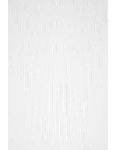 Strukturierter Bastelkarton Weiß DIN B1+ (720 x 1010 mm) 240 g/m² Acquerello Bianco