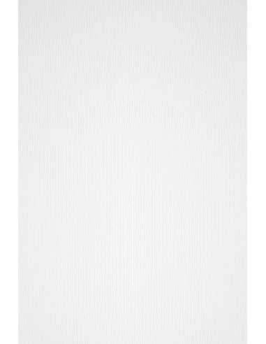 Strukturierter Bastelkarton Weiß DIN B1+ (720 x 1010 mm) 300 g/m² Acquerello Bianco