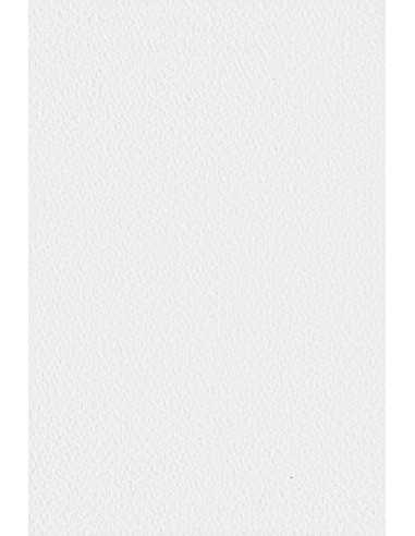 Strukturierter Bastelkarton Weiß DIN B1+ (720 x 1010 mm) 250 g/m² Tintoretto Gesso