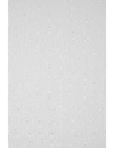 Strukturierter Elfenbeinkarton Weiß (Leinen) DIN A1 (610 x 860 mm) 246 g/m² Elfenbens Linen White