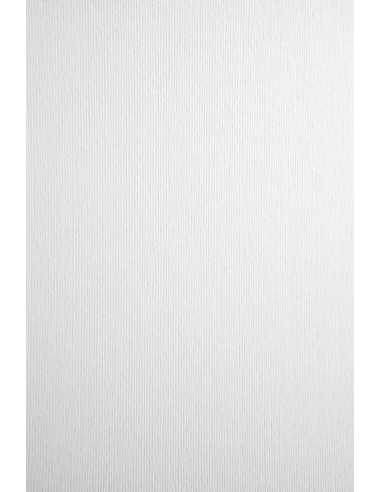 Strukturierter Bastelkarton Weiß DIN A4 (210 x 297 mm) 215 g/m² Nettuno Bianco Artico - 10 Stück