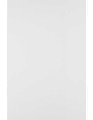 Bastelpapier Weiß DIN B1+ (720 x 1020 mm) 170 g/m² Lessebo Smooth White