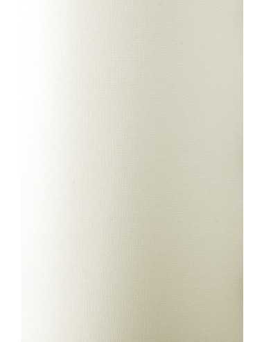 Strukturierter Bastelkarton Elfenbein DIN B1 (700 x 1000 mm) 240 g/m² Constellation Ivory Tela