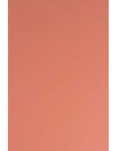 Bastelpapier Rot DIN A4 (210 x 297 mm) 115 g/m² Sirio Color Flamingo - 50 Stück