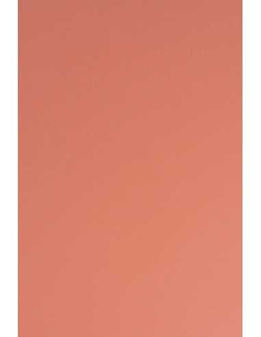 Bastelkarton Rot DIN A4 (210 x 297 mm) 210 g/m² Sirio Color Flamingo - 25 Stück