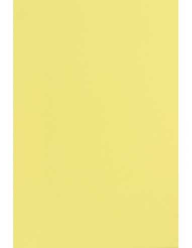 Bastelkarton Zitronengelb DIN SRA3 (450 x 320 mm) 240 g/m² Pop'Set Virgin Pulp Citrus Yellow
