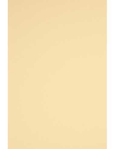 Bastelkarton Creme DIN A3 (297 x 420 mm) 230 g/m² Rainbow Farbe R03 - 10 Stück