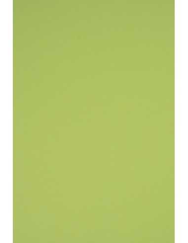 Bastelkarton Hellgrün DIN A3 (297 x 420 mm) 230 g/m² Rainbow Farbe R74 - 10 Stück