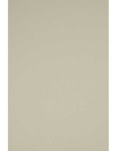Bastelkarton Grau DIN A3 (297 x 420 mm) 230 g/m² Rainbow Farbe R96 - 10 Stück