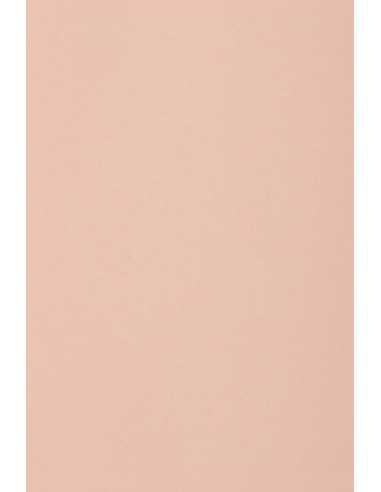 Bastelkarton Hellrosa DIN SRA3 (320 x 450 mm) 250 g/m2 Burano Rosa - 10 Stück