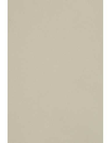 Bastelkarton Hellgrau DIN A3 (297 x 420 mm) 250 g/m2 Burano Grigio - 10 Stück