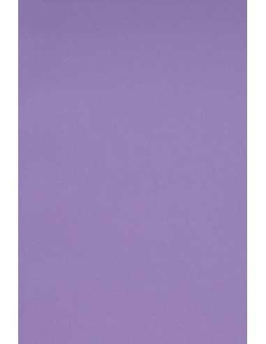 Bastelkarton Violett DIN A3 (297 x 420 mm) 250 g/m2 Burano Violet - 10 Stück