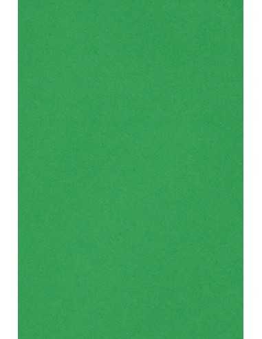 Bastelkarton Grün DIN A3 (297 x 420 mm) 250 g/m2 Burano Verde Bandiera - 10 Stück