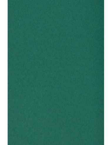 Bastelkarton Dunkelgrün DIN A3 (297 x 420 mm) 250 g/m2 Burano English Green - 10 Stück