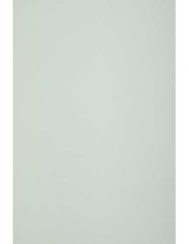 Ökologisches Bastelpapier Hellgrün DIN B1 (700 x 1000 mm) 120 g/m² Keaykolour Pastel Green