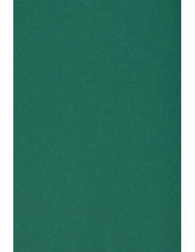 Bastelkarton Dunkelgrün DIN A5 (148 x 210 mm) 250 g/m2 Burano English Green - 10 Stück