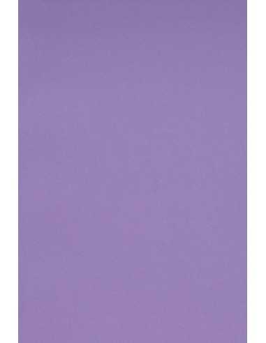 Bastelkarton Violett DIN A5 (148 x 210 mm) 250 g/m2 Burano Violet - 10 Stück