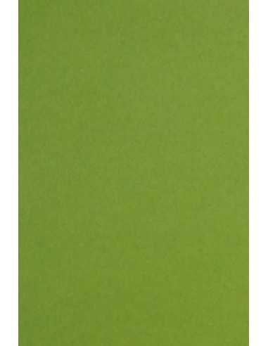 Bastelkarton Grün DIN B1 (700 x 1000 mm) 300 g/m² Keaykolour Meadow