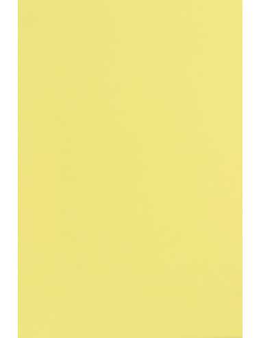 Bastelkarton Zitronengelb DIN A4 (210 x 297 mm) 240 g/m² Popset Dry toner Citrus yellow - 10 Stück