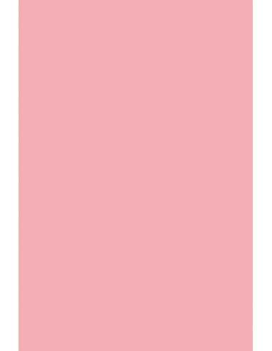 Bastelkarton Rosa DIN A5 (148 x 210 mm) 230 g/m² Rainbow Farbe R55 - 10 Stück