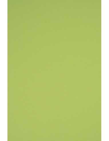 Bastelkarton Hellgrün DIN A5 (148 x 210 mm) 230 g/m² Rainbow Farbe R74 - 10 Stück