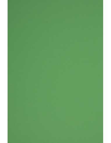 Bastelkarton Dunkelgrün DIN A5 (148 x 210 mm) 230 g/m² Rainbow Farbe R78 - 10 Stück