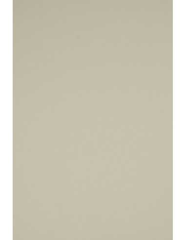 Bastelkarton Grau DIN A5 (148 x 210 mm) 230 g/m² Rainbow Farbe R96 - 10 Stück
